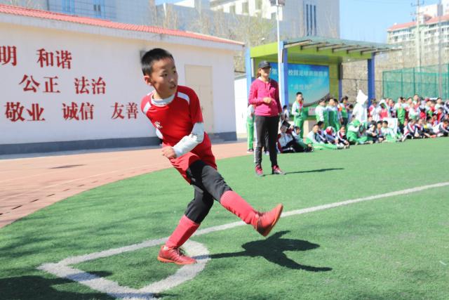 杨瀚森14+13青岛克广州3连胜 宁波加时胜江苏